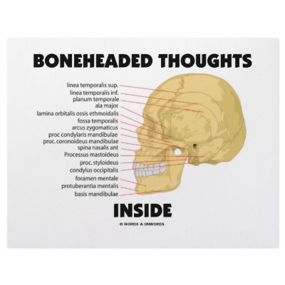 Boneheaded Thoughts Inside (Anatomy Humour) by wordsunwords