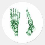Bones of the feet - light green round stickers