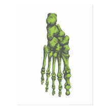 Bones of the human foor. post cards