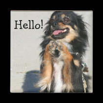 Bonjour aimant de chiwawa aimants