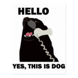 BONJOUR OUI C'EST téléphone de téléphone de CHIEN Cartes Postales