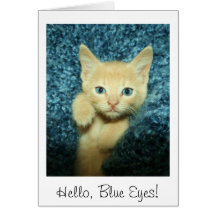 Bonjour, yeux bleus ! Chaton de couleur chamois Carte De Vœux
