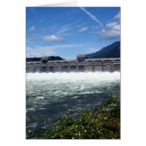 Bonneville Cards