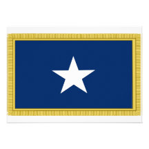Bonnie Blue Flag First Texas Cofederate Volunteers Custom Announcements