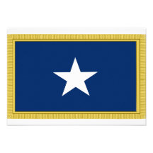 Bonnie Blue Flag First Texas Cofederate Volunteers Custom Invitations