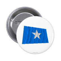 Bonnie Blue Flag / West Florida Republic Flag Buttons