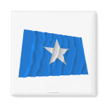 Bonnie Blue Flag / West Florida Republic Flag Fridge Magnet