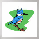 Bonnie Blue Jay Poster
