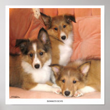 Bonnie's Boys Posters