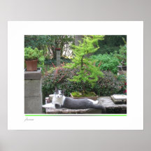 Bonsai and Cat Print