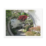 Bonsai Arch - National Arboretum, Washington D.C. Post Card