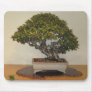 Bonsai at National Arboretum, Washington D.C. Mousepad