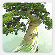 Bonsai Cypress Tree Square Sticker