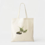 Bonsai photo 4 bags