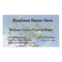 Bonsai portulacaria afra tree 1 business card template