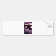 Bonsai Rock - Vertical Bumper Sticker