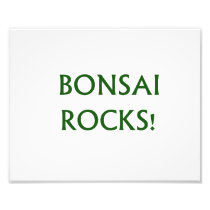 Bonsai Rocks Slogan saying done in Green Text Art Photo