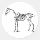 Bony Horse Sticker