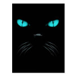 Boo - Aquamarine Postcard