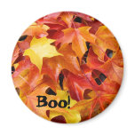 Boo! autumn leaves magnets Orange Yellow Leaves