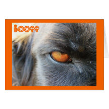 Boo Halloween Cards