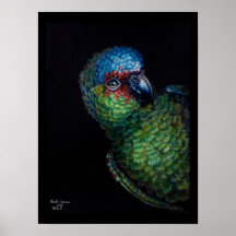 Boo! Print