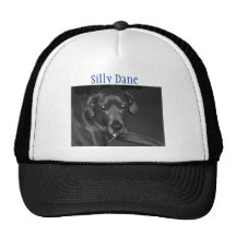 Boog, Silly Dane Hat