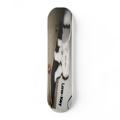 Boogie Board Skateboard by LowKeyCEO