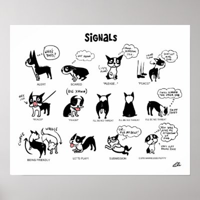 Boogie signals print by lilita