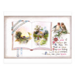 Book & Birds Vintage Birthday Card Postcards