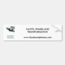 Book Cover  Website Bumper Sticker