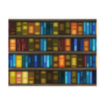 Book Lovers & Librarians Colourful Books on Shelf
