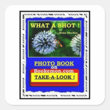 Book Square Stickers