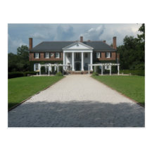 Boone Hall Plantation, Charleston SC Postcard