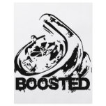 Boosted Custom Flyer
