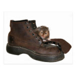 Boot pet postcards
