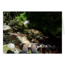 "Boots at Linhope Spout, Ingram Valley" Cards