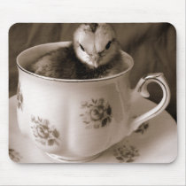 Boots In A Tea Cup
