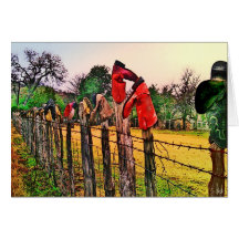 Boots On A Fence Cards