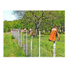 Boots On A Fence on Hwy 290 near Johnson City, TX Post Card