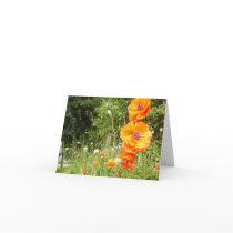 Boppy Poppies / Notecards