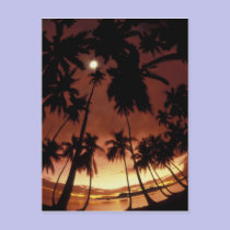 Bora Bora, French Polynesia Sunset shot through postcards