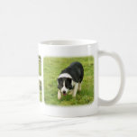 Border Collie 8M054D-05, Border Collie 8M052D-0... Mug