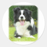 Border Collie 9A014D-14 Round Sticker