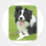Border Collie 9A014D-25 Sticker