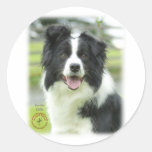 Border Collie 9A015D-24_2 Stickers