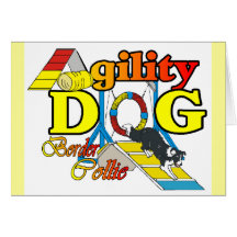 Border Collie Agility Gifts Card