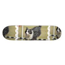Border Collie Agility Skateboard