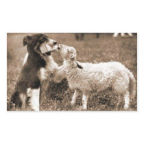 "Border Collie and Lamb"~Sticker