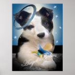 Border Collie angel baby Poster